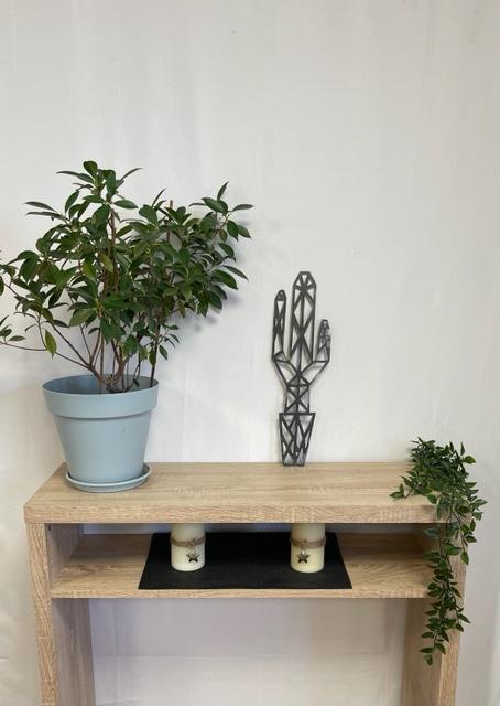 Découpe plasma Cactus Origami